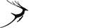 卡密批发价的苹果短信轰炸机